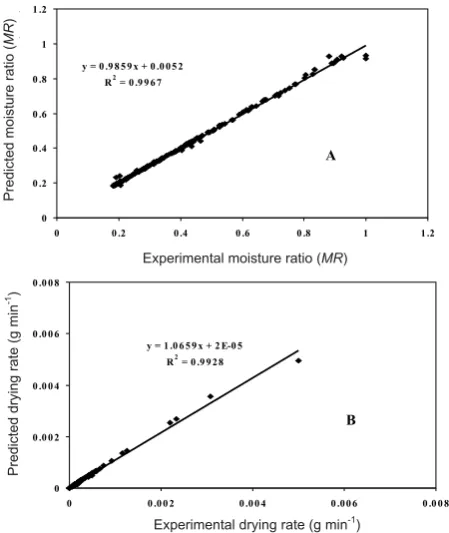 Fig. 9. Correlation between the experimental data and the predicteding rate (g minvalues of the ANN model for prediction of: A – moisture ratio, B – dry--1).