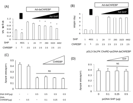 Figure 1. The oordinated effect of ChREBP and SHP on Mttp expression. (A) and (B) The effect of 