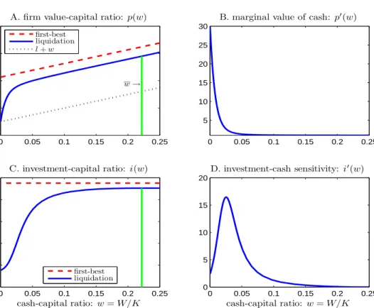 Figure 2: Case I. Liquidation. This figure plots the solution for the case when the firm has to liquidate when it runs out of cash (w = 0).