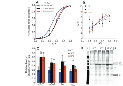 Fig. with the density of the actin band in the same lane following SYPRO (Molecular Probes) staining for total protein