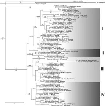 Figure 17. Phylogenetic relationships in Coccinia based on five plastid DNA loci (matK, ndhF–rpl32 intergenic spacer (IS), rpl20–rps12 IS, trnL intron, trnL–trnF IS, trnS–trnG IS) obtained for 75 accessions from 24 species