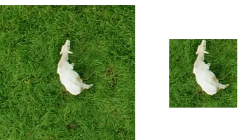 Figure 9. Examples of “cattle” blocks with very small animal parts visible (red elipses).