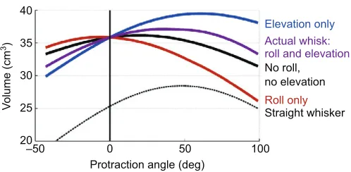 Fig. 8A shows that both volume and surface area are