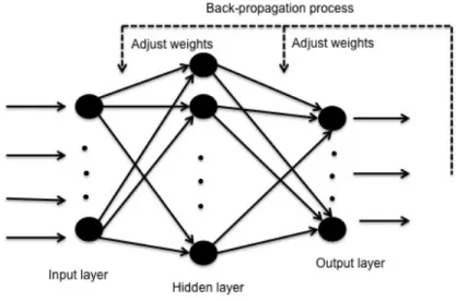 Fig. 1. Feed forward neural network structure with back propagation algorithm 
