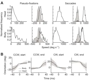 Fig. 2. Head and body speed during saccades and pseudo-