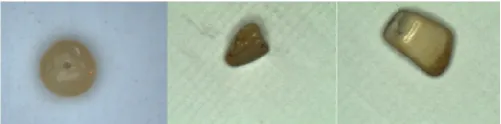 Figure 2. Pictures of amber gemstones before processing. 