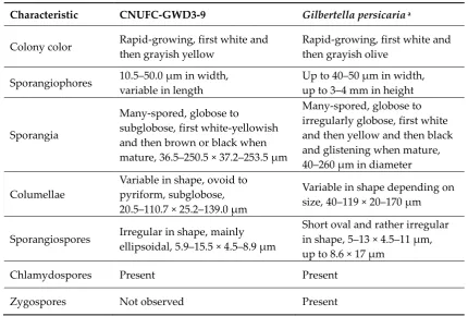 Table 1. Morphological characteristics of CNUFC-GWD3-9 and the reference species Gilbertella persicaria grown on synthetic mucor agar medium at 25‒26°C