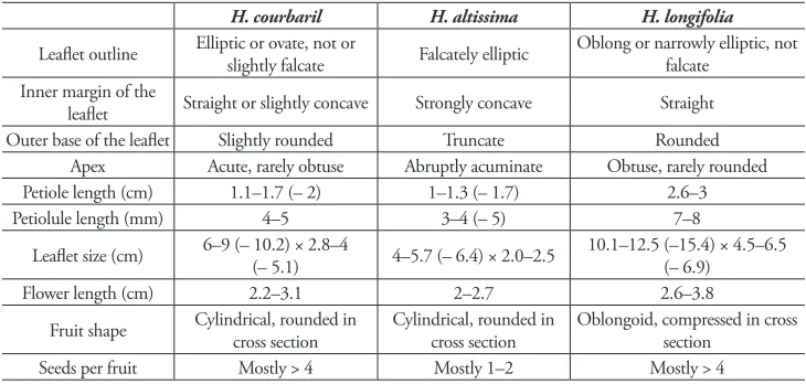 Table 4. Morphological comparison between Hymenaea courbaril, H. altissima, and H. longifolia.