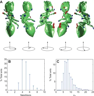 Fig. incident connecting legs from neighboring ants. Viewrotation angles are shown below