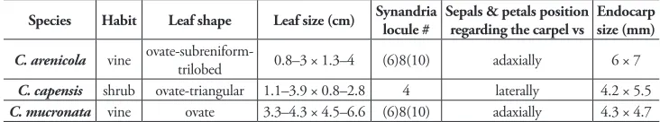 Table 1. Main quantitative and qualitative variables that distinguish Cissampelos arenicola M