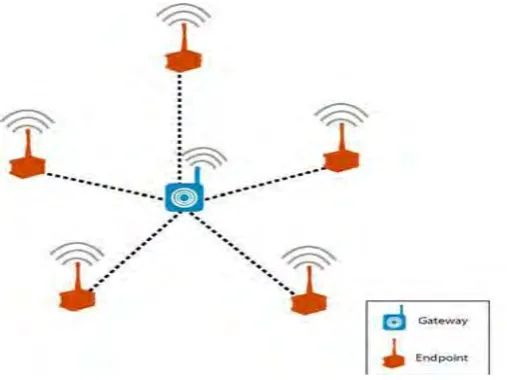 Figure 1.0 Star Topology 