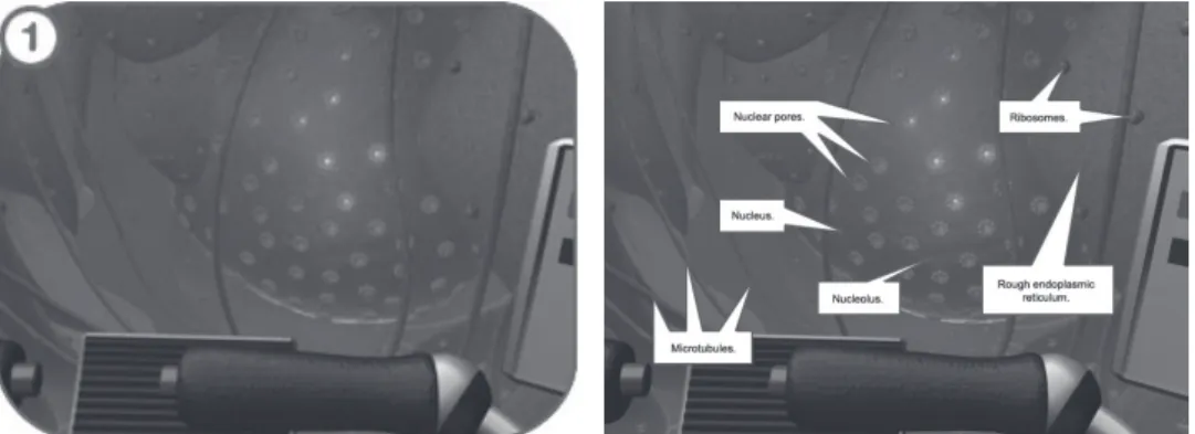 Figure 1. Out on the horizon, you should see a large blue object. That is the nucleus of the cell