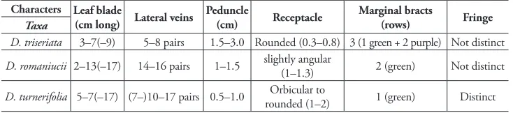Table 1. Comparative morphology of Dorstenia triseriata and its related species.