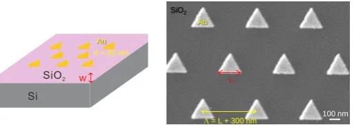 Figure 1. Schematic of the sample (left) and an SEM image of the triangle Au nanoparticles (right)