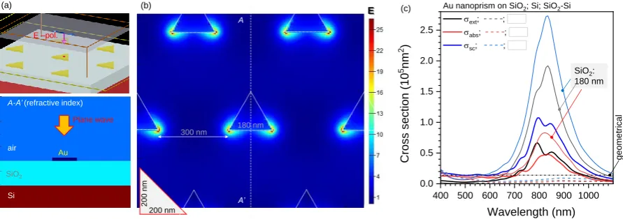 Figure 2. (a) 3D FDTD setting for calculations under linearly polarised (along x-axis) E-ﬁeld; planewave illumination