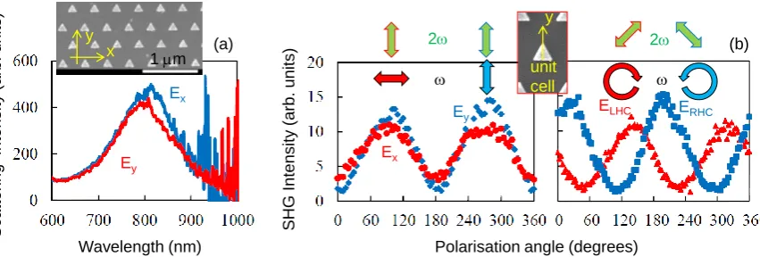 Figure 3. (a) Scattering spectrum of Au nanoprisms on glass for two polarisations in back-scattering(see SEM image in inset)
