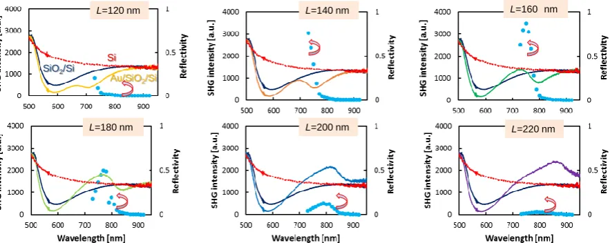 Figure 4. Plots showing experimentally measured SHG excitation spectra from metasurfaces (cyan dots,left-axis) of Au triangular nanoparticles on a SiO2/Si substrate with triangle side-lengths, L = 120 nm to220 nm