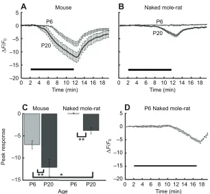 Fig. 11. Increase in internal calcium from exposure to