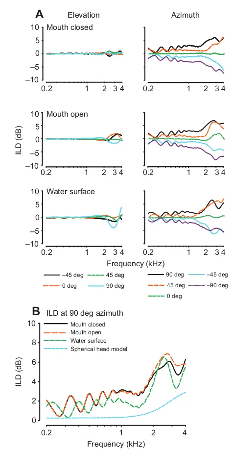 Fig. 4. The interaural level difference (ILD) spectrum along azimuth andelevation. (A) ILD gain across spatial locations, calculated for each of theconditions (mouth closed, animal 0006F264B5; mouth open, animal0006F26A75; water surface, animal 0006F2279C)