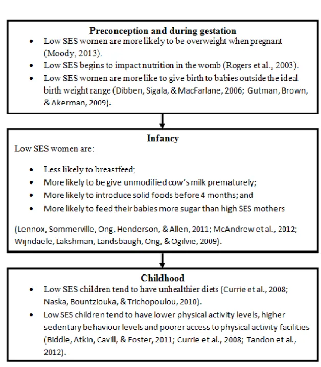 Figure 4. SES related risks which increase the likelihood of child overweight: stages of  childhood