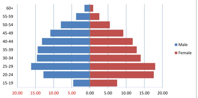 Figure 5. 2: Labour Age Category 