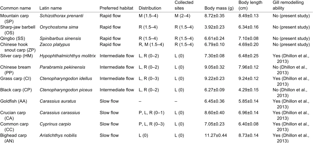 Table�1. Habitat information and biological characteristics of the 12 fish species used in this study 