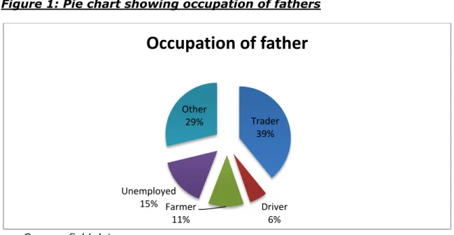 Figure 1: Pie chart showing occupation of fathers 