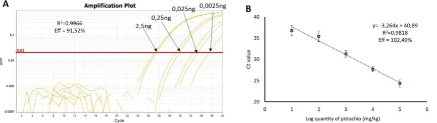 Figure 3. Performance of the amplification reaction for the detection of Pis v 1 target