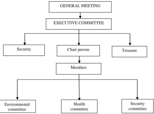 Figure 2.3: CBO Organization Structure  Source: MMG)  Environmental committee  Health  committee  Security  committee Security Treasure EXECUTIVE COMMITTEE GENERAL MEETING Chair person Members 
