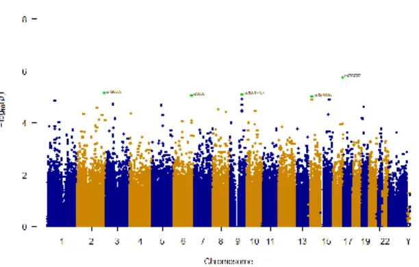 Fig.  1  shows  the  P-values  for  this  study  by  means  of  a  Manhattan plot. P-values in -log 10  scale are distributed in the y  axis while the physical position of the SNPs along chromosomes  is  represented  in  the  x  axis