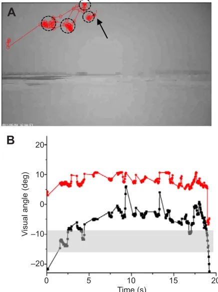 Fig. 2. Computer-simulated bird-mounted video images of prey during pursuits. (A) Schematic and (B) simulated prey position on the image for classicalpursuit (red circles), motion camouflage (blue circles) and optimal visual angle (black squares)
