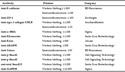 Table 1. Antibodies used in western blotting and immunofluorescence 