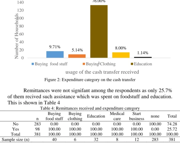 Figure 2: Expenditure category on the cash transfer   