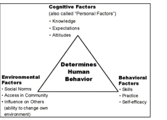 Figure 1: Social Learning Theory Model (ReCAPP, 2015) 