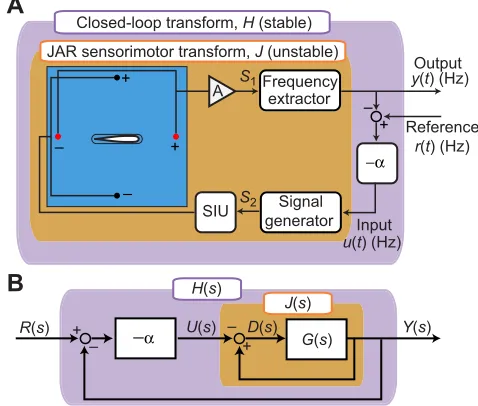 Fig. 1. Experimental setup. (A) Schematic diagram of the closed-loopsystem. The reference frequency signal generator, which outputs a sinusoid of that frequency
