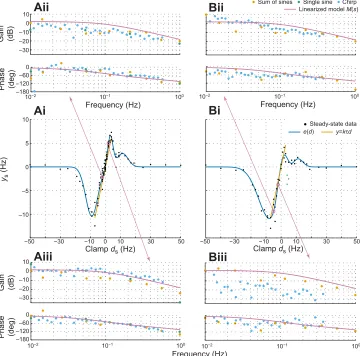 Fig. 7A,B shows the steady-state values of both static and