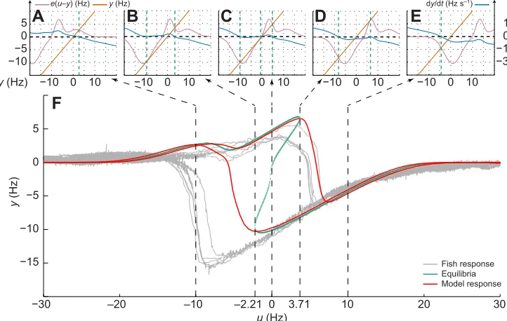 Fig. 8. Step responses. (A) Responses of one individual to open loop stepsof u=4 Hz (gray) with the model response to the same stimulus (red).(B) Responses of the same individual to steps of u=–3 Hz (gray) with themodel response to the same stimulus (red).