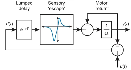 Fig. 10. A parsimonious nonlinear model for the JAR. The motor output ofthe EOD is represented in terms of the frequency of the pacemaker, y(t).As is well known, the nervous system extracts the df, d(t)=y(t)–u(t), whereu(t) is the frequency of an external 