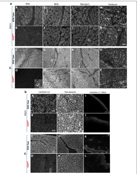 Fig. 2 (See legend on next page.)