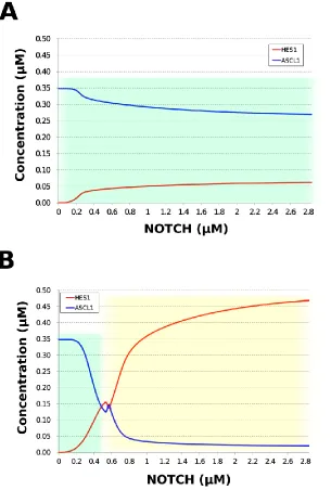 Figure 6. Simulation of HES1 and ASCL1 concentrations under the Id2 gene knockdown or  overexpression conditions