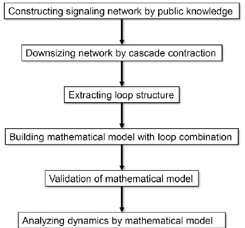 Figure 1. Flow diagram of the analysis processes in this study. 