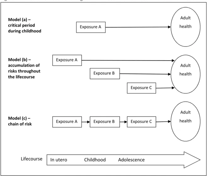 Figure 2-2: Lifecourse models showing how childhood circumstances can affect adult health