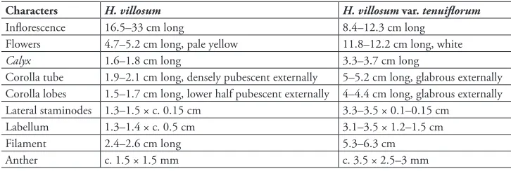 table 1. Main morphological differences between Hedychium villosum and H. villosum var