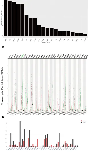 Figure 1. Expression and mutational landscape of GPR15 in TCGA cohorts. A. Barplot of the mutational rate of GPR15 in 