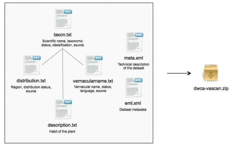 Figure 3. The VASCAN Darwin Core Archive, structured following the GBIF GNA Profile. It is a compressed folder containing 4 text files with tab-seperated values and 2 xml files