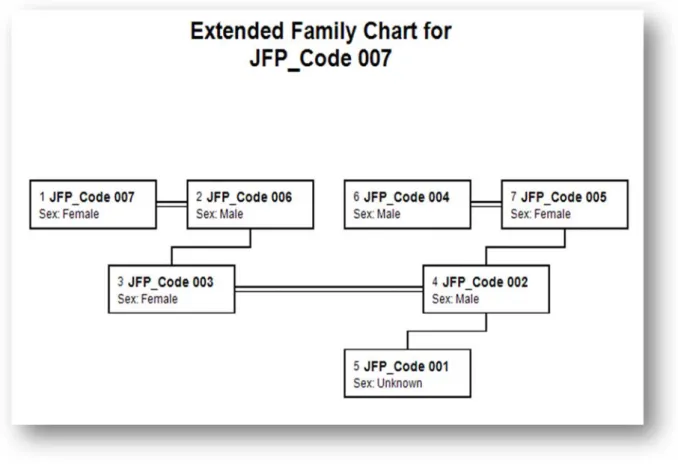 Figure 5.5:  Family Tree Maker Output Tree 