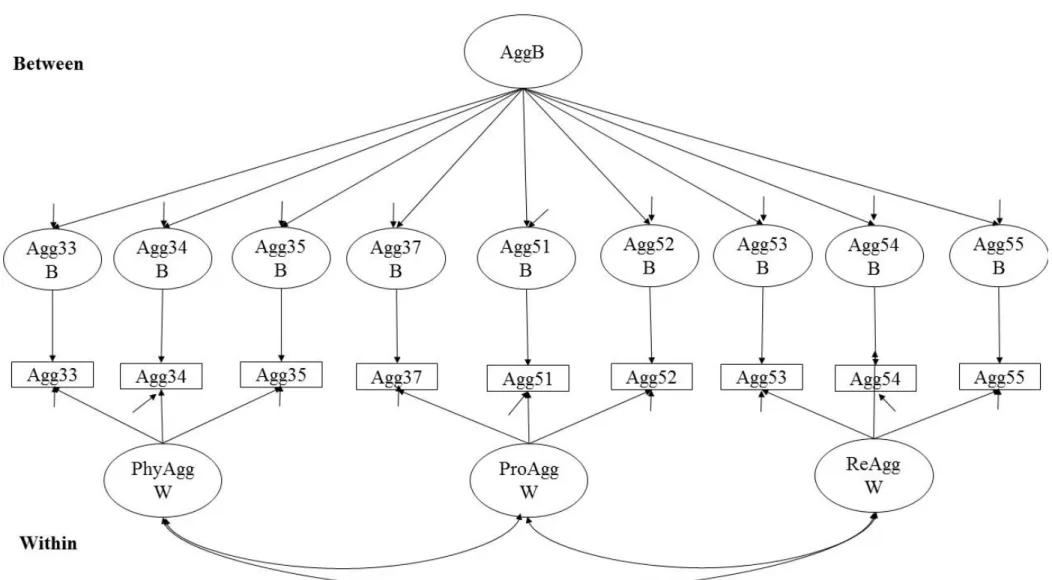 Figure 2: ML-CFA Model Specification for Aggression 