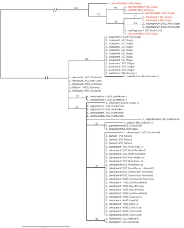 Figure 2. Maximum likelihood phylogeny of ETS as calculated in RaXML, showing the Lepidium ol-eraceum (black text) and L