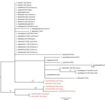 Figure 4. Maximum likelihood phylogeny of trnL-F as calculated in RaXML, showing the Lepidium oleraceum (black text) and L