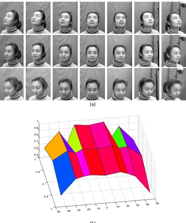 Fig. 2.1.  (a) Sample subject from CAS-PEAL-R1 dataset.  21 pose positions are used to demonstrate face detection capability
